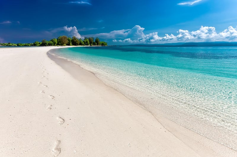 Coastline